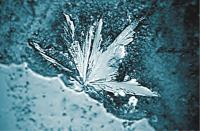 ImageWithText